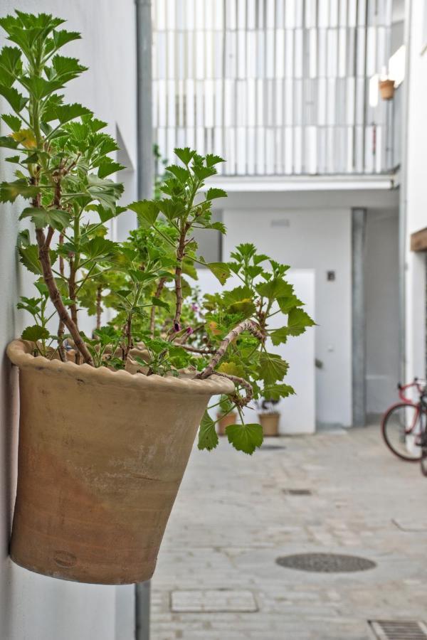 Covadonga 9 Apartments - Triana 세비야 외부 사진